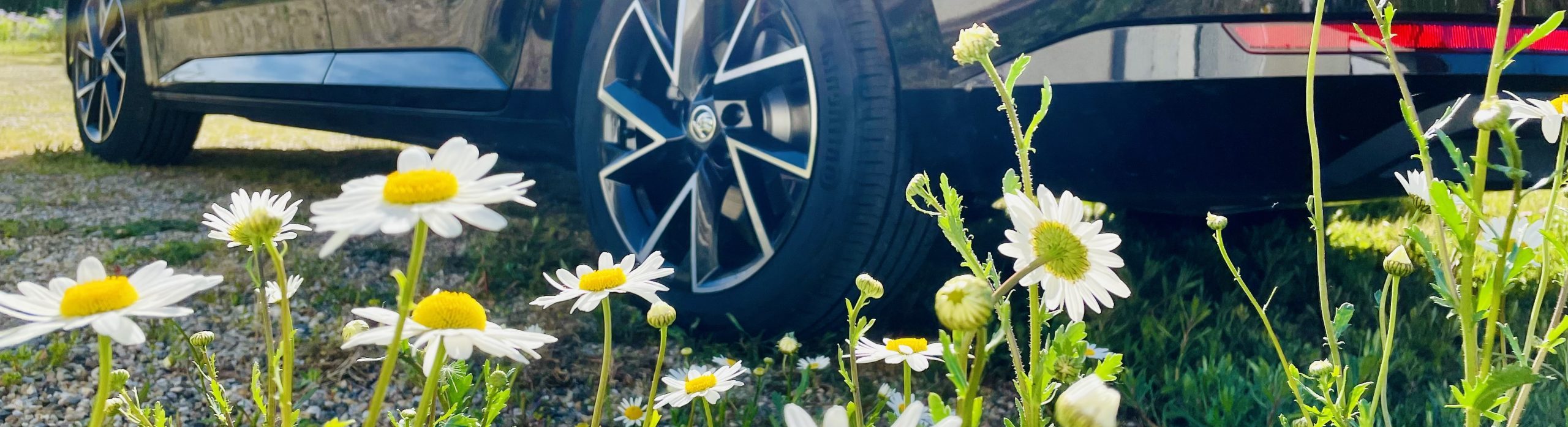 Quelles énergies pour la flotte automobile de demain?