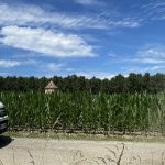 véhicule utilitaire electrique